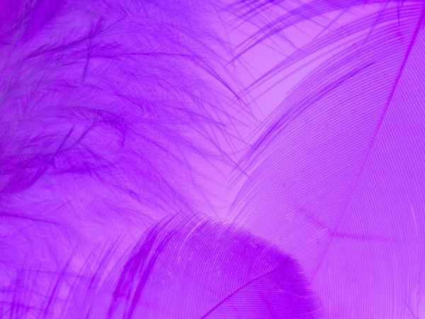 Welcome to Endo&nbsp;Stories